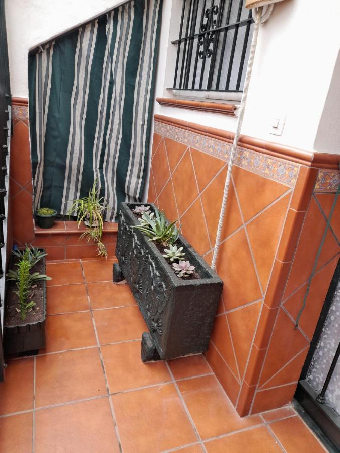 Alojamiento Casa Piano مايرينا ديل ألخارفي المظهر الخارجي الصورة